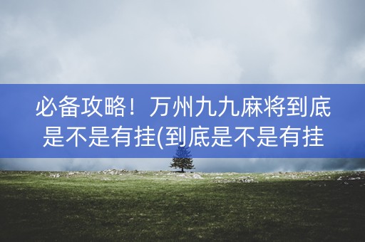 必备攻略！万州九九麻将到底是不是有挂(到底是不是有挂)
