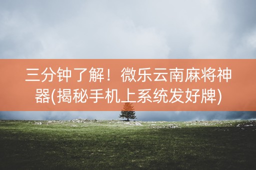 三分钟了解！微乐云南麻将神器(揭秘手机上系统发好牌)