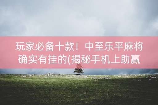 玩家必备十款！中至乐平麻将确实有挂的(揭秘手机上助赢神器购买)