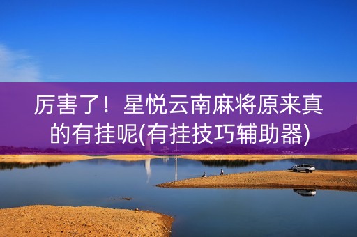 厉害了！星悦云南麻将原来真的有挂呢(有挂技巧辅助器)