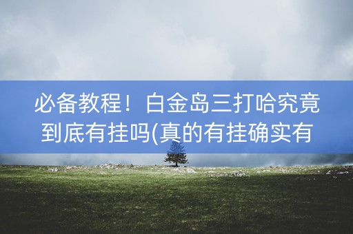 必备教程！白金岛三打哈究竟到底有挂吗(真的有挂确实有挂)