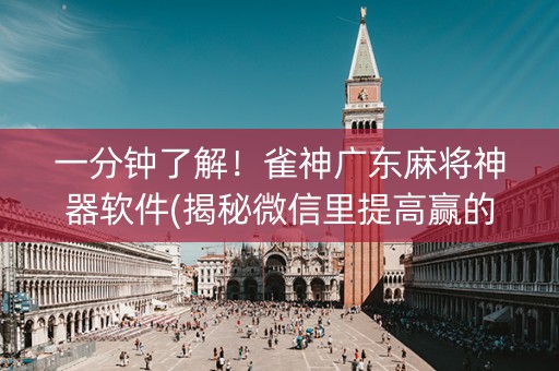 一分钟了解！雀神广东麻将神器软件(揭秘微信里提高赢的概率)