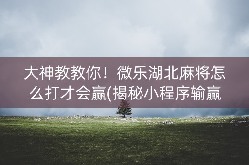 大神教教你！微乐湖北麻将怎么打才会赢(揭秘小程序输赢规律)