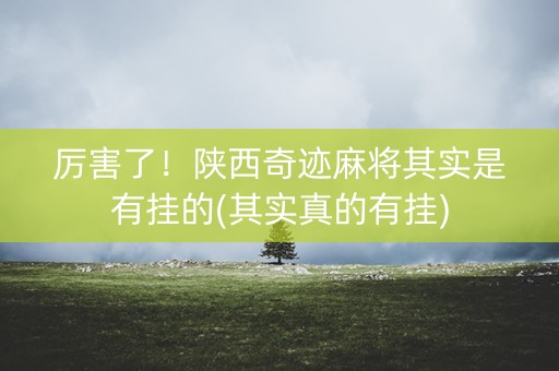 厉害了！陕西奇迹麻将其实是有挂的(其实真的有挂)
