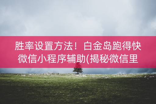 胜率设置方法！白金岛跑得快微信小程序辅助(揭秘微信里助赢神器)