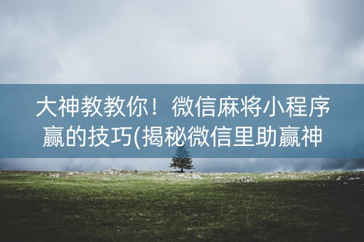 大神教教你！微信麻将小程序赢的技巧(揭秘微信里助赢神器)