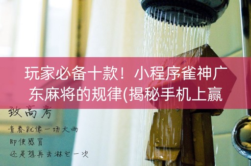 玩家必备十款！小程序雀神广东麻将的规律(揭秘手机上赢的诀窍)