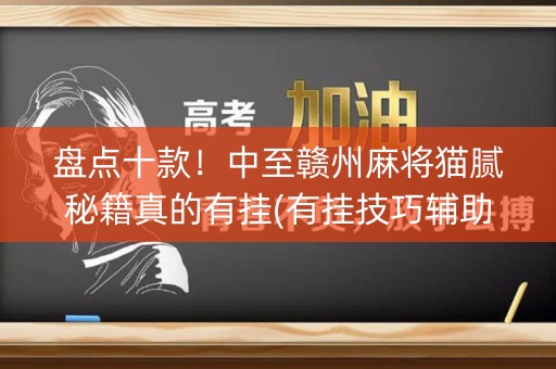 盘点十款！中至赣州麻将猫腻秘籍真的有挂(有挂技巧辅助器)