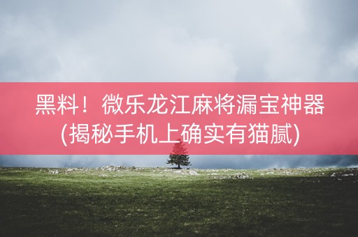 黑料！微乐龙江麻将漏宝神器(揭秘手机上确实有猫腻)