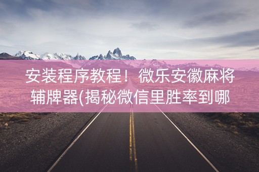 安装程序教程！微乐安徽麻将辅牌器(揭秘微信里胜率到哪调)