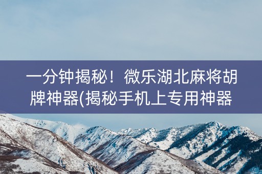 一分钟揭秘！微乐湖北麻将胡牌神器(揭秘手机上专用神器下载)