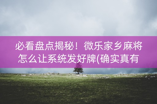 必看盘点揭秘！微乐家乡麻将怎么让系统发好牌(确实真有挂)