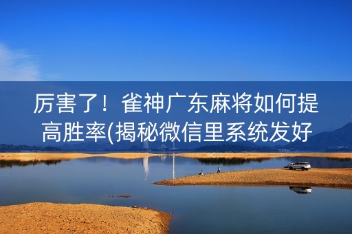 厉害了！雀神广东麻将如何提高胜率(揭秘微信里系统发好牌)