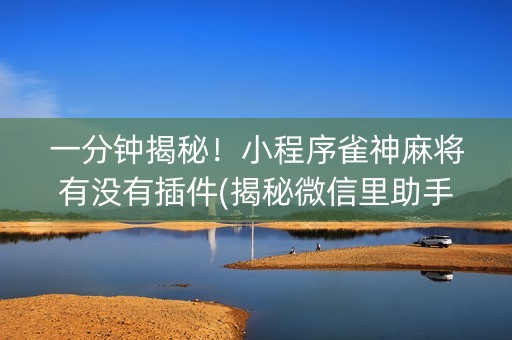 一分钟揭秘！小程序雀神麻将有没有插件(揭秘微信里助手软件)