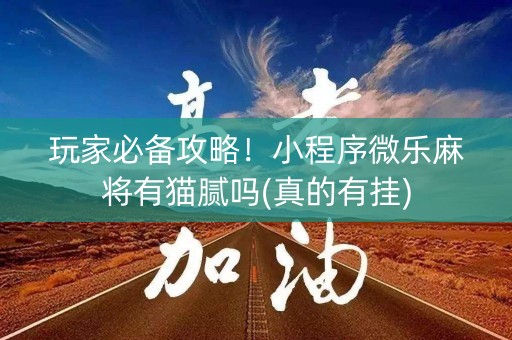 玩家必备攻略！小程序微乐麻将有猫腻吗(真的有挂)