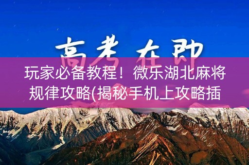 玩家必备教程！微乐湖北麻将规律攻略(揭秘手机上攻略插件)