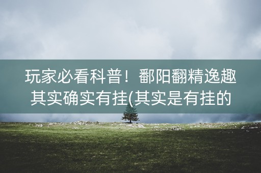 玩家必看科普！鄱阳翻精逸趣其实确实有挂(其实是有挂的)