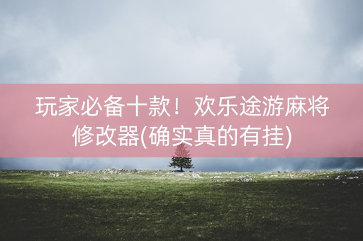 玩家必备十款！欢乐途游麻将修改器(确实真的有挂)
