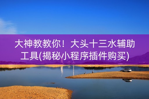 大神教教你！大头十三水辅助工具(揭秘小程序插件购买)