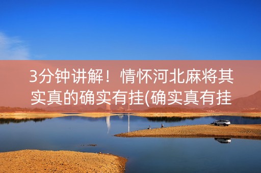 3分钟讲解！情怀河北麻将其实真的确实有挂(确实真有挂)