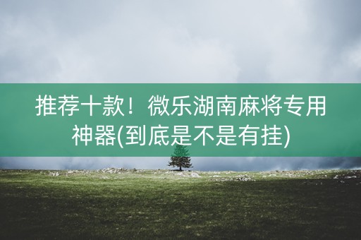 推荐十款！微乐湖南麻将专用神器(到底是不是有挂)