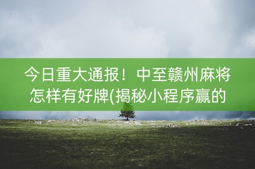 今日重大通报！中至赣州麻将怎样有好牌(揭秘小程序赢的诀窍)
