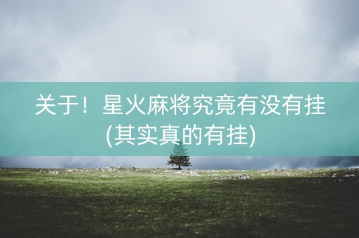关于！星火麻将究竟有没有挂(其实真的有挂)