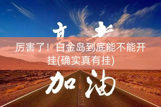 厉害了！白金岛到底能不能开挂(确实真有挂)