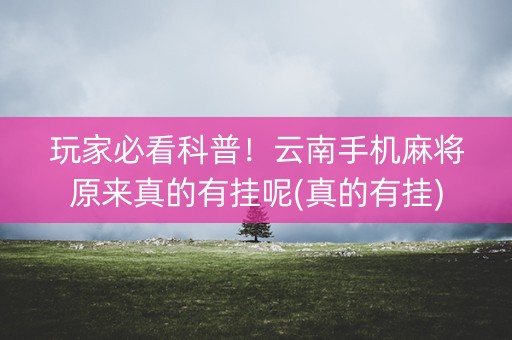 玩家必看科普！云南手机麻将原来真的有挂呢(真的有挂)