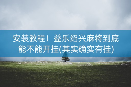 安装教程！益乐绍兴麻将到底能不能开挂(其实确实有挂)