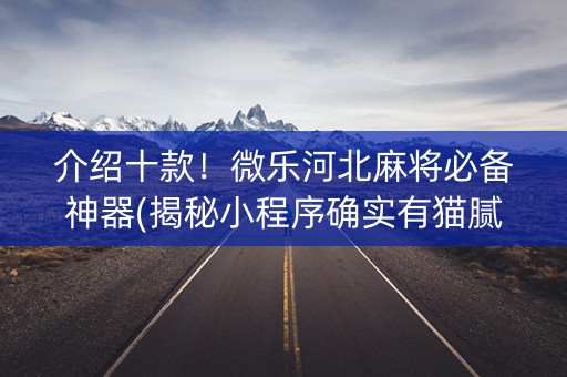 介绍十款！微乐河北麻将必备神器(揭秘小程序确实有猫腻)