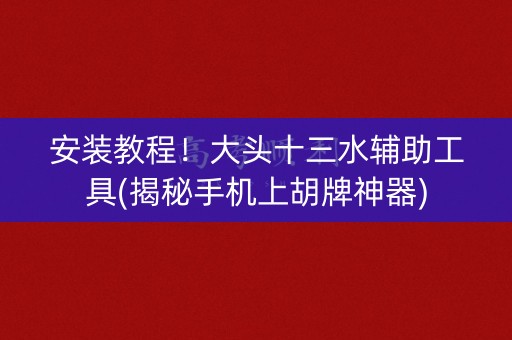安装教程！大头十三水辅助工具(揭秘手机上胡牌神器)