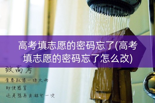 高考填志愿的密码忘了(高考填志愿的密码忘了怎么改)