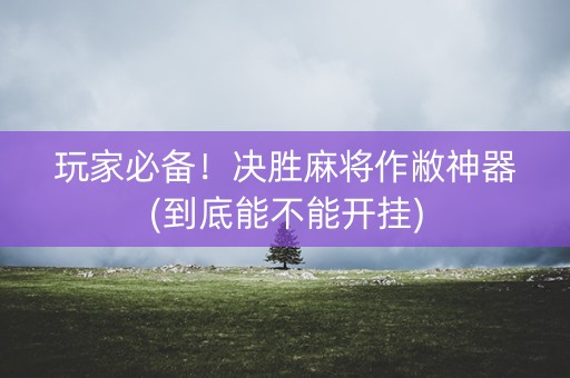 玩家必备！决胜麻将作敝神器(到底能不能开挂)