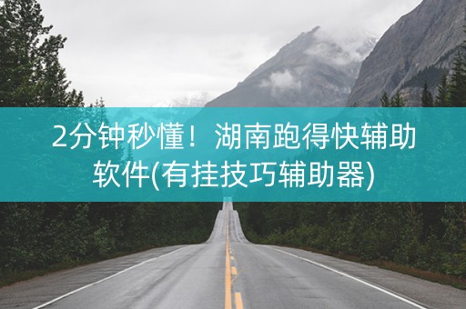 2分钟秒懂！湖南跑得快辅助软件(有挂技巧辅助器)