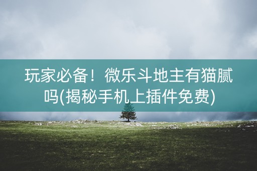 玩家必备！微乐斗地主有猫腻吗(揭秘手机上插件免费)