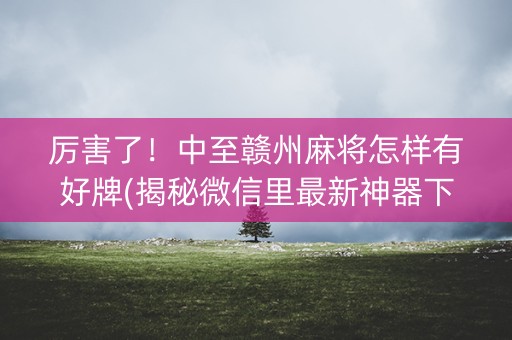厉害了！中至赣州麻将怎样有好牌(揭秘微信里最新神器下载)