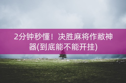 2分钟秒懂！决胜麻将作敝神器(到底能不能开挂)