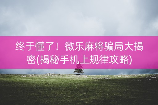 终于懂了！微乐麻将骗局大揭密(揭秘手机上规律攻略)