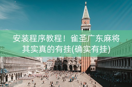安装程序教程！雀圣广东麻将其实真的有挂(确实有挂)