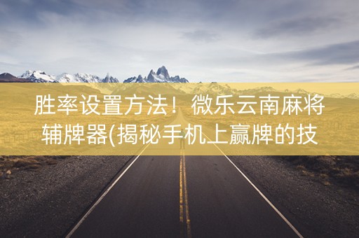 胜率设置方法！微乐云南麻将辅牌器(揭秘手机上赢牌的技巧)