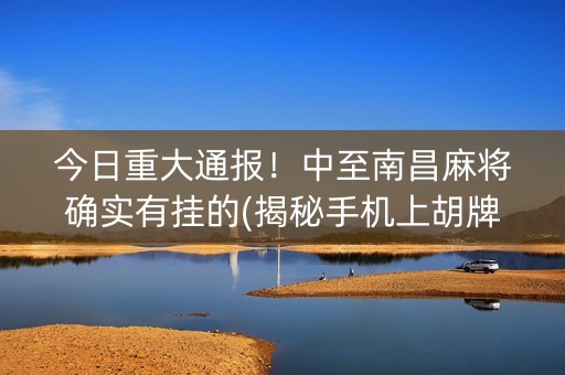 今日重大通报！中至南昌麻将确实有挂的(揭秘手机上胡牌技巧)