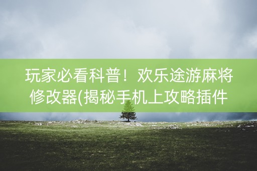 玩家必看科普！欢乐途游麻将修改器(揭秘手机上攻略插件)