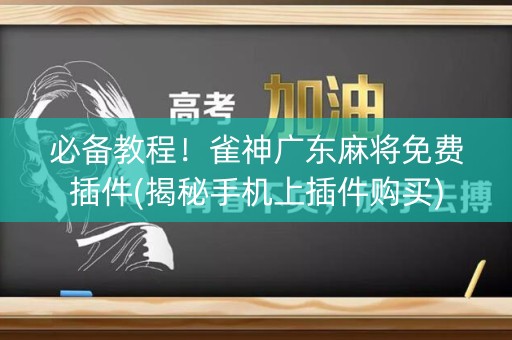 必备教程！雀神广东麻将免费插件(揭秘手机上插件购买)