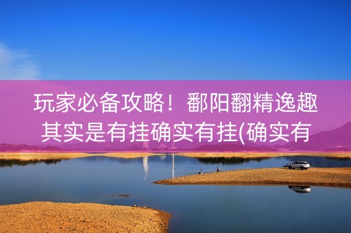 玩家必备攻略！鄱阳翻精逸趣其实是有挂确实有挂(确实有挂)