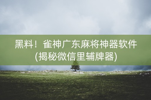 黑料！雀神广东麻将神器软件(揭秘微信里辅牌器)