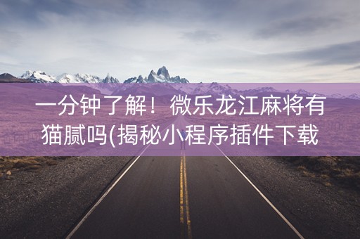一分钟了解！微乐龙江麻将有猫腻吗(揭秘小程序插件下载)