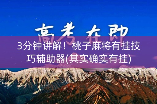 3分钟讲解！桃子麻将有挂技巧辅助器(其实确实有挂)