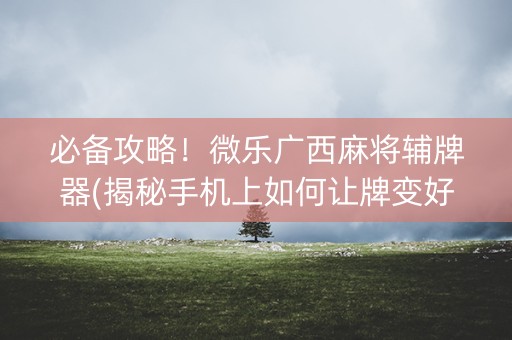 必备攻略！微乐广西麻将辅牌器(揭秘手机上如何让牌变好)