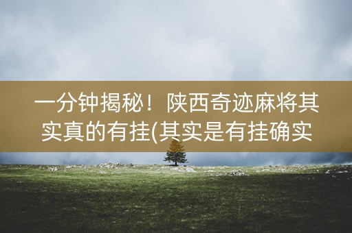 一分钟揭秘！陕西奇迹麻将其实真的有挂(其实是有挂确实有挂)